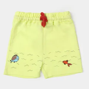Infant Boys Knitted Short Dinner Time - Sharp Green